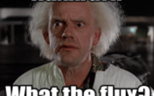 fluxkraft Back to the Future